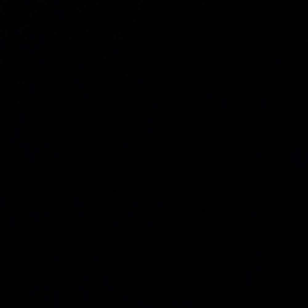 Classic Black Item